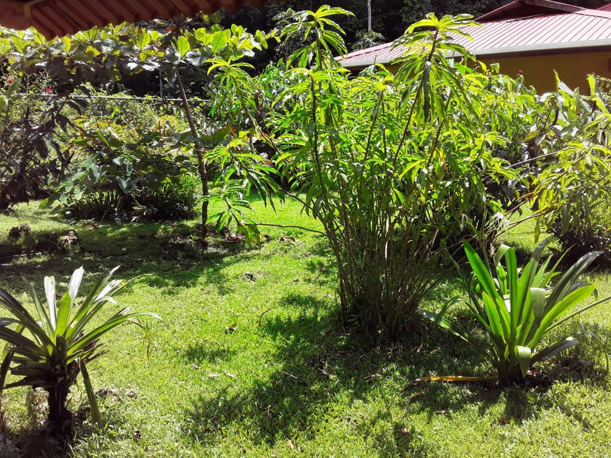 Villa Sevilla Big Creek Esterno foto